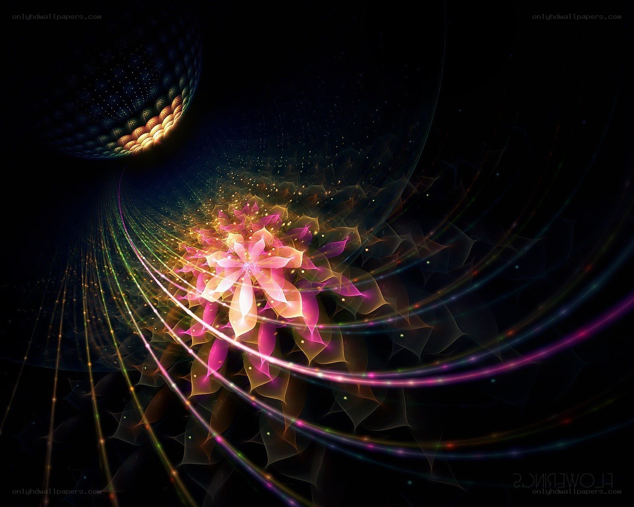 fractal flower in cosmic tunnel