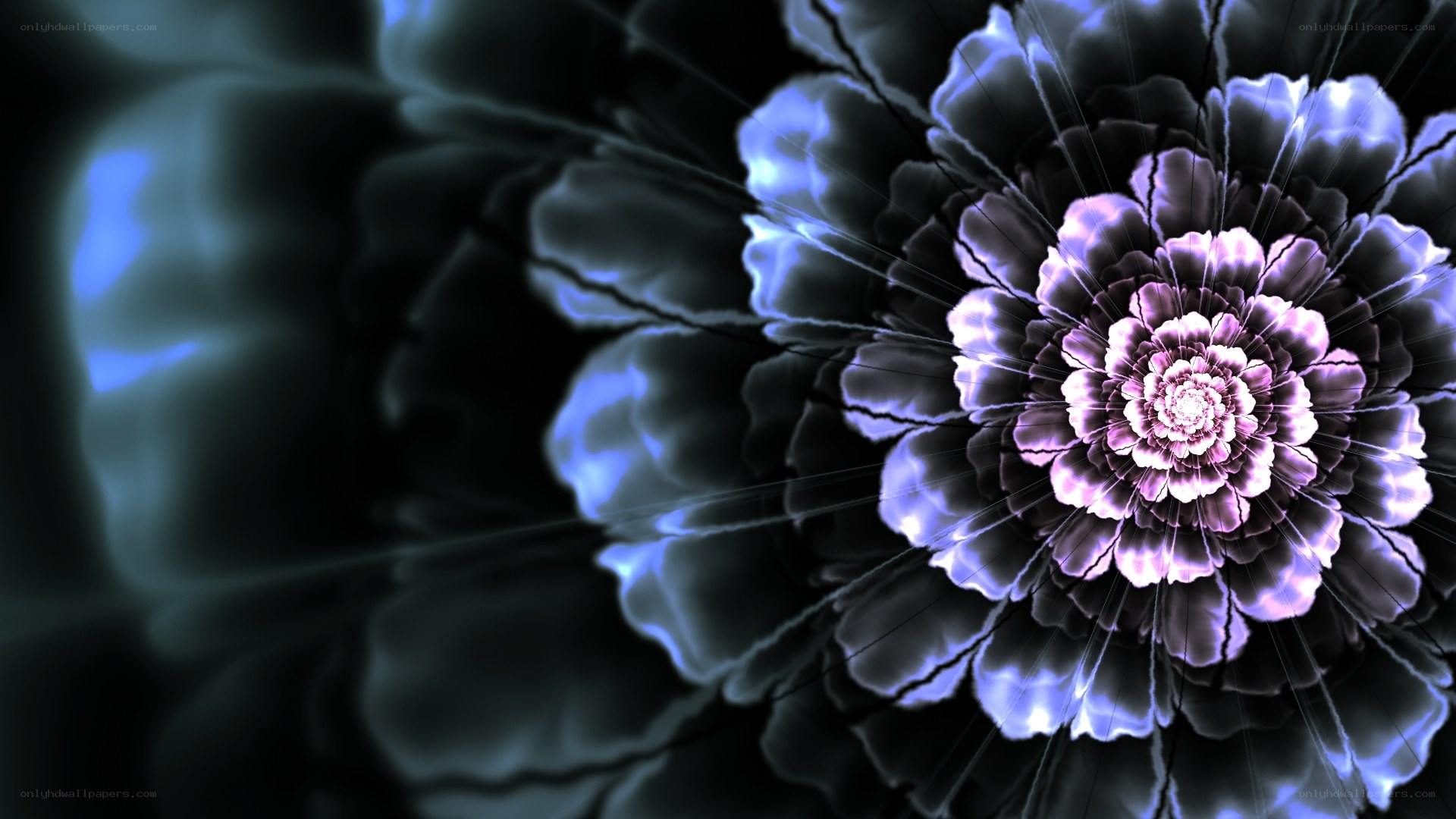 fractal flower in dark blue