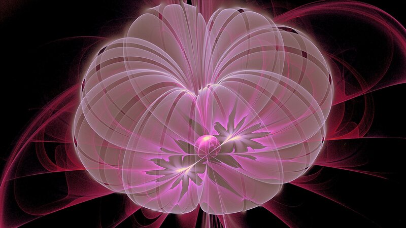 Fractal flower in pink and purple