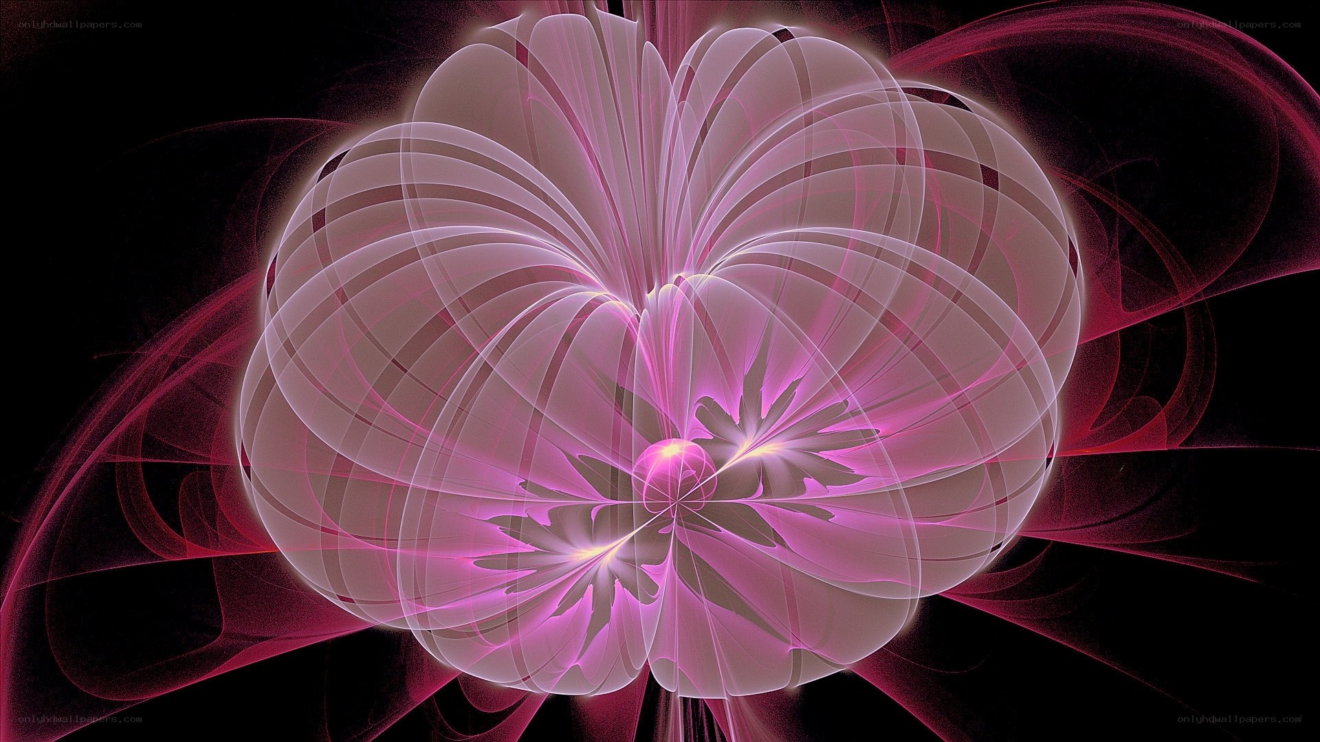 Fractal flower in pink and purple