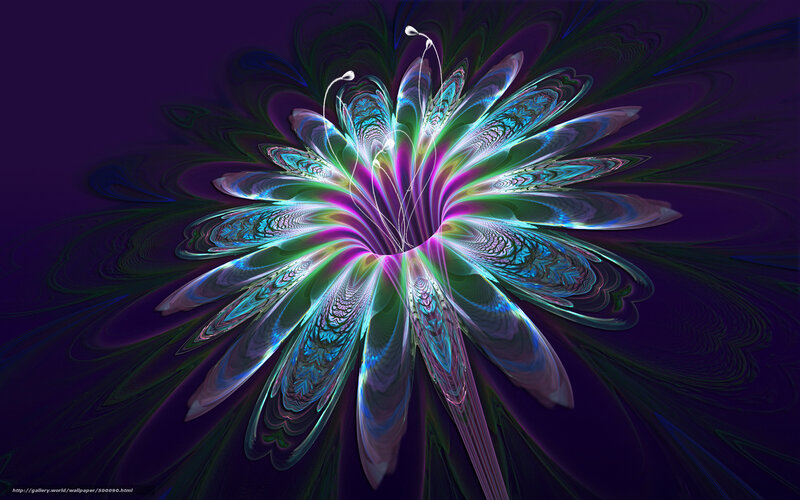 Fractal flower in purple and green