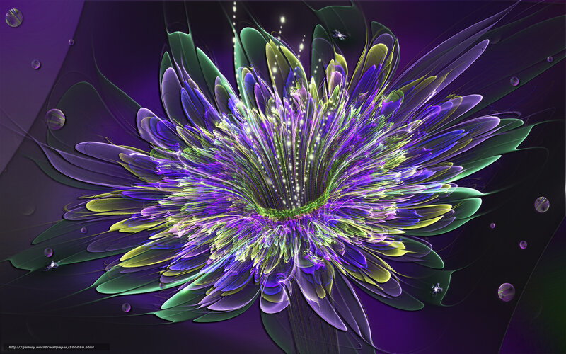 Fractal flower in purple and green