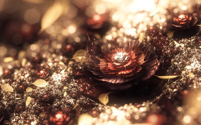 Fractal Flower in Soil