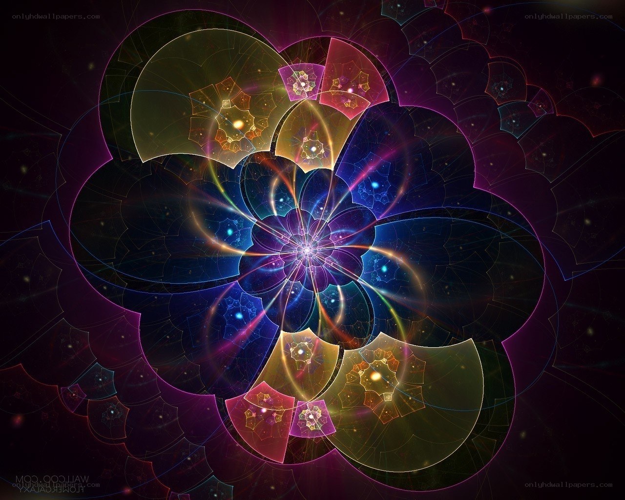 Fractal flower in space
