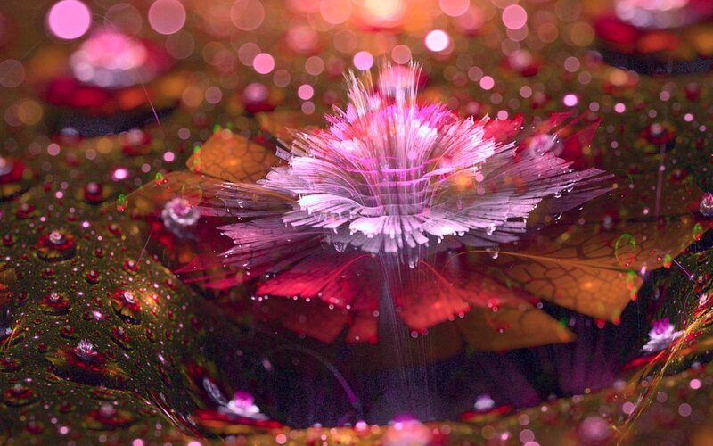 Fractal Flower in Water
