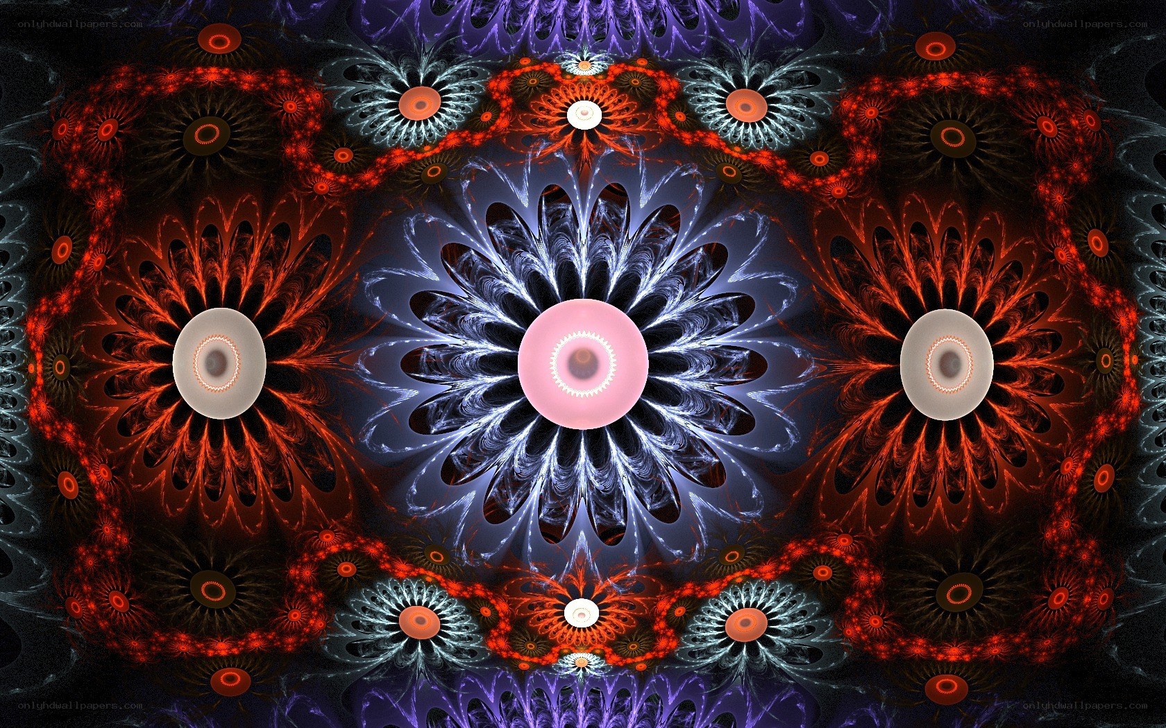 Fractal flower mandala