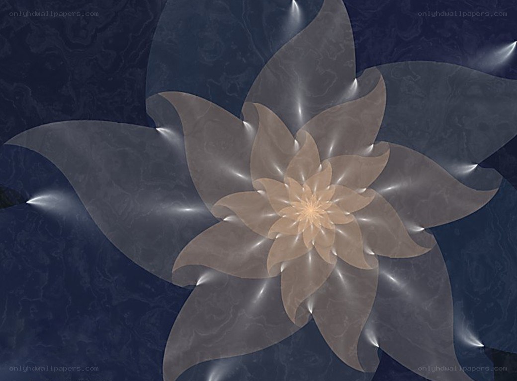 Fractal flower on dark blue