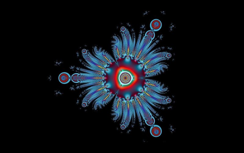 fractal flower pattern