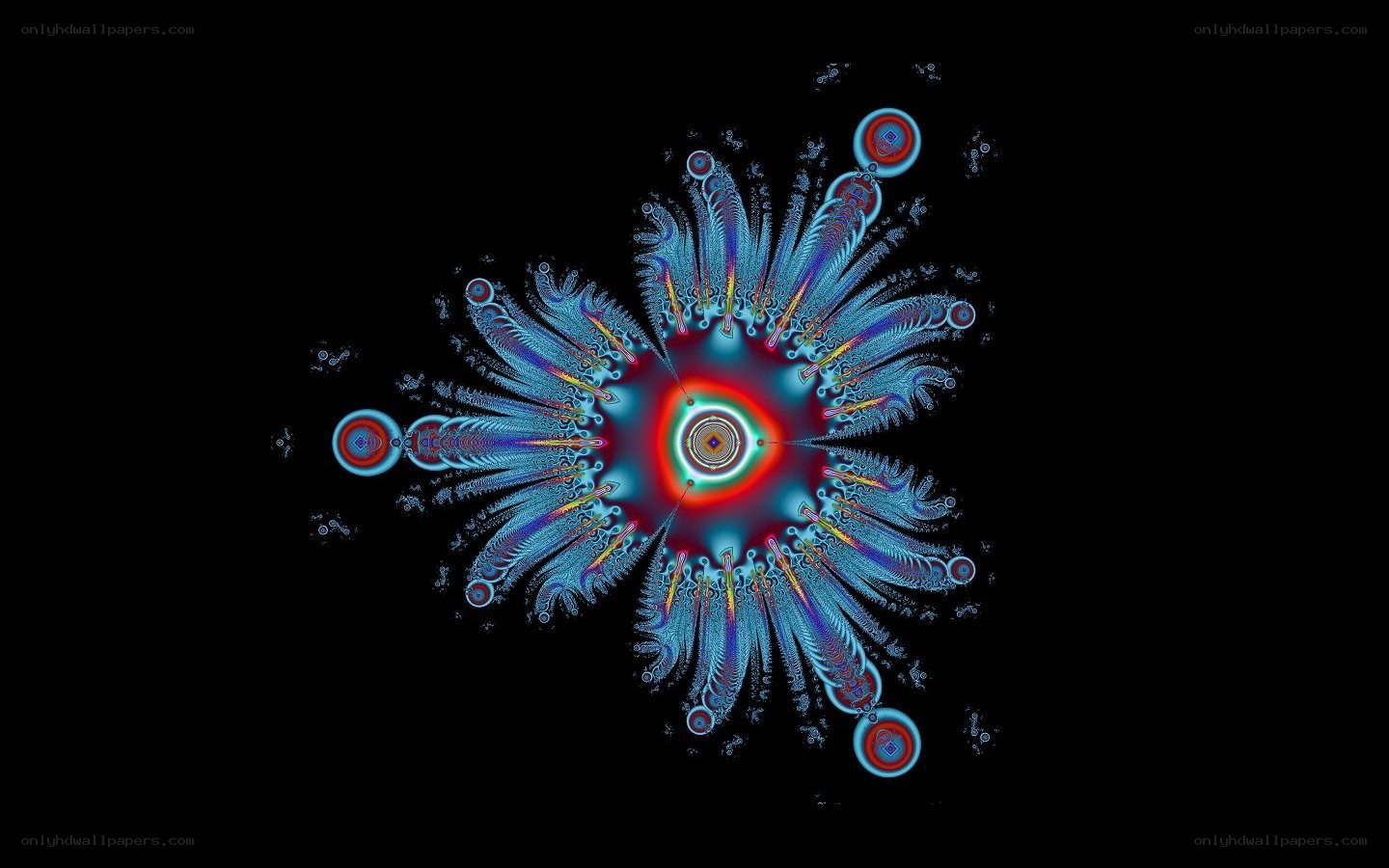 fractal flower pattern