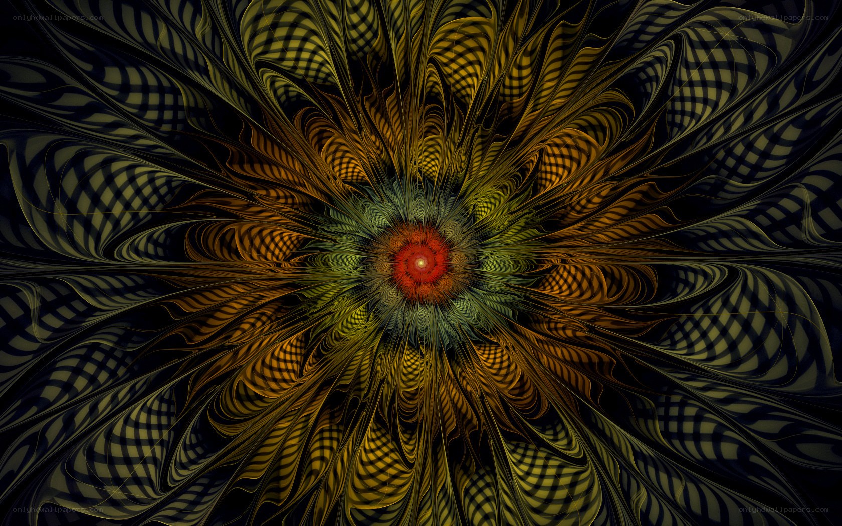 Fractal flower pattern