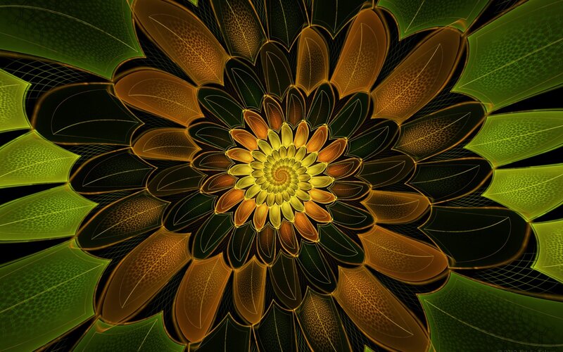 fractal flower pattern