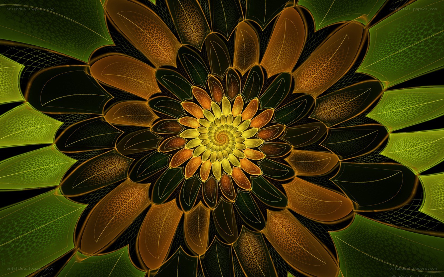 fractal flower pattern