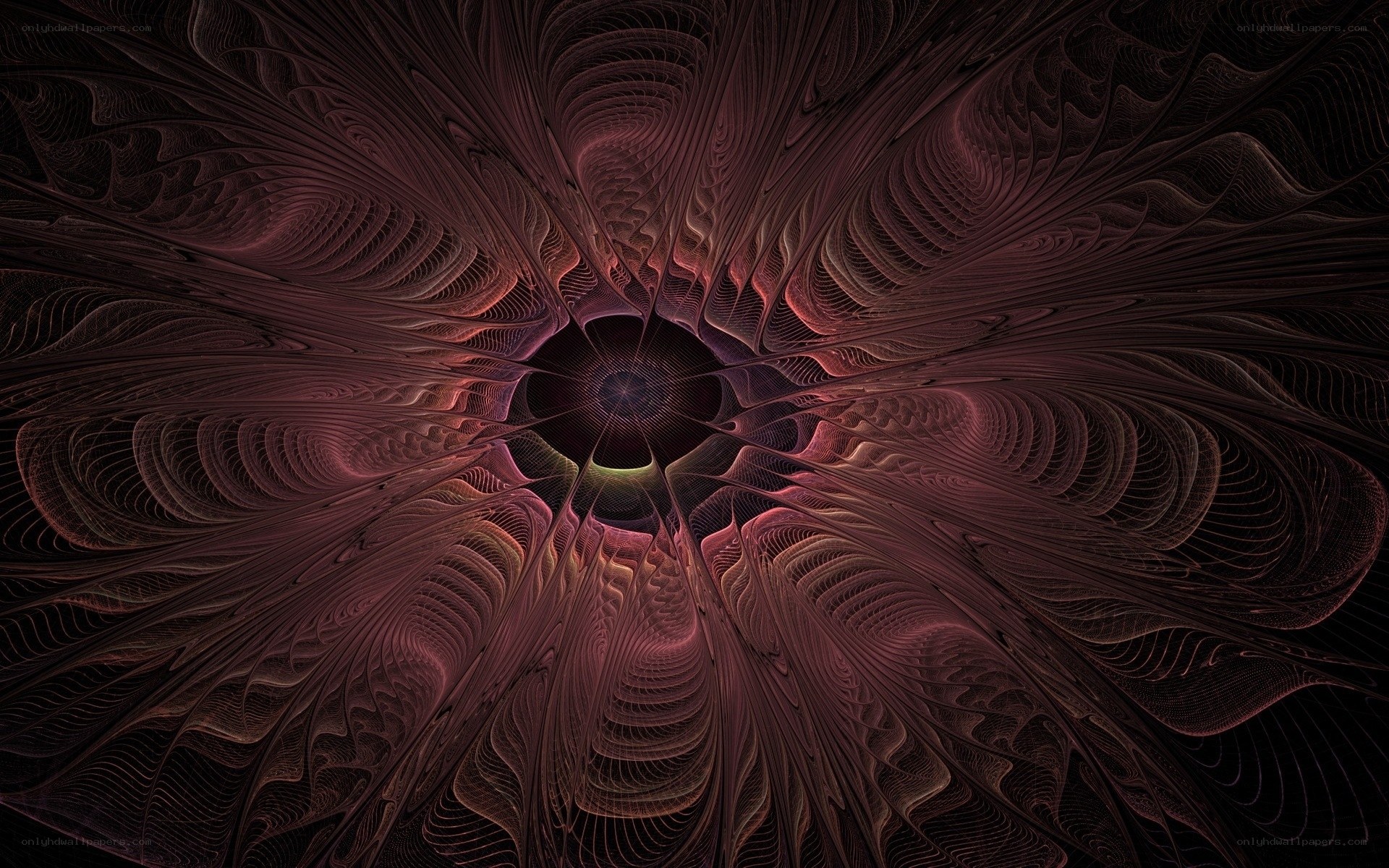 Fractal flower pattern