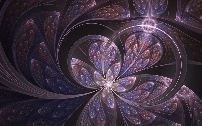 fractal flower pattern