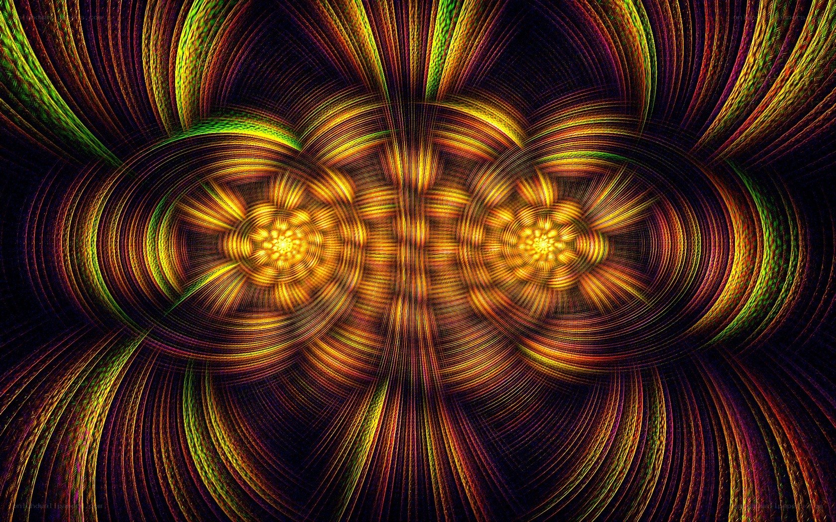 fractal flower pattern