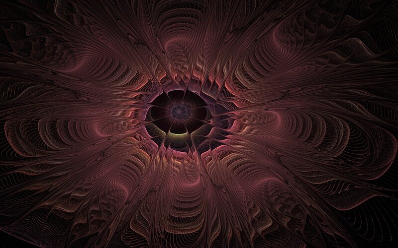 fractal flower pattern