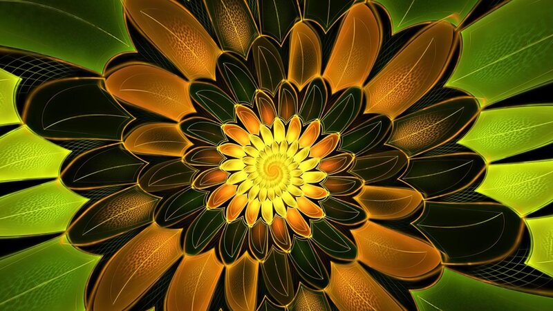 fractal flower pattern