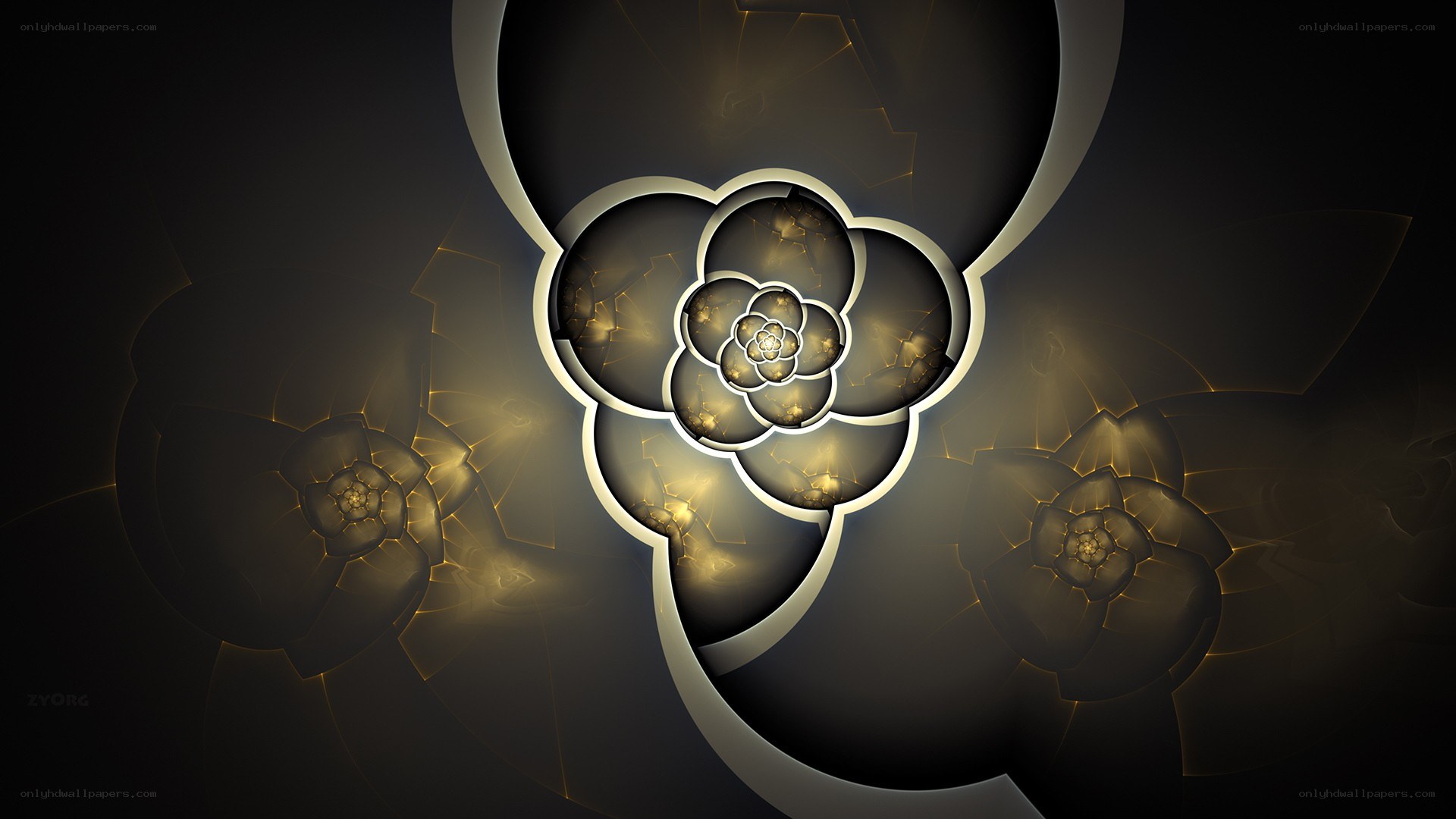 fractal flower pattern