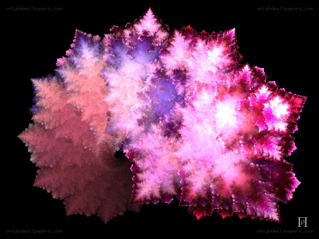 fractal flower pattern