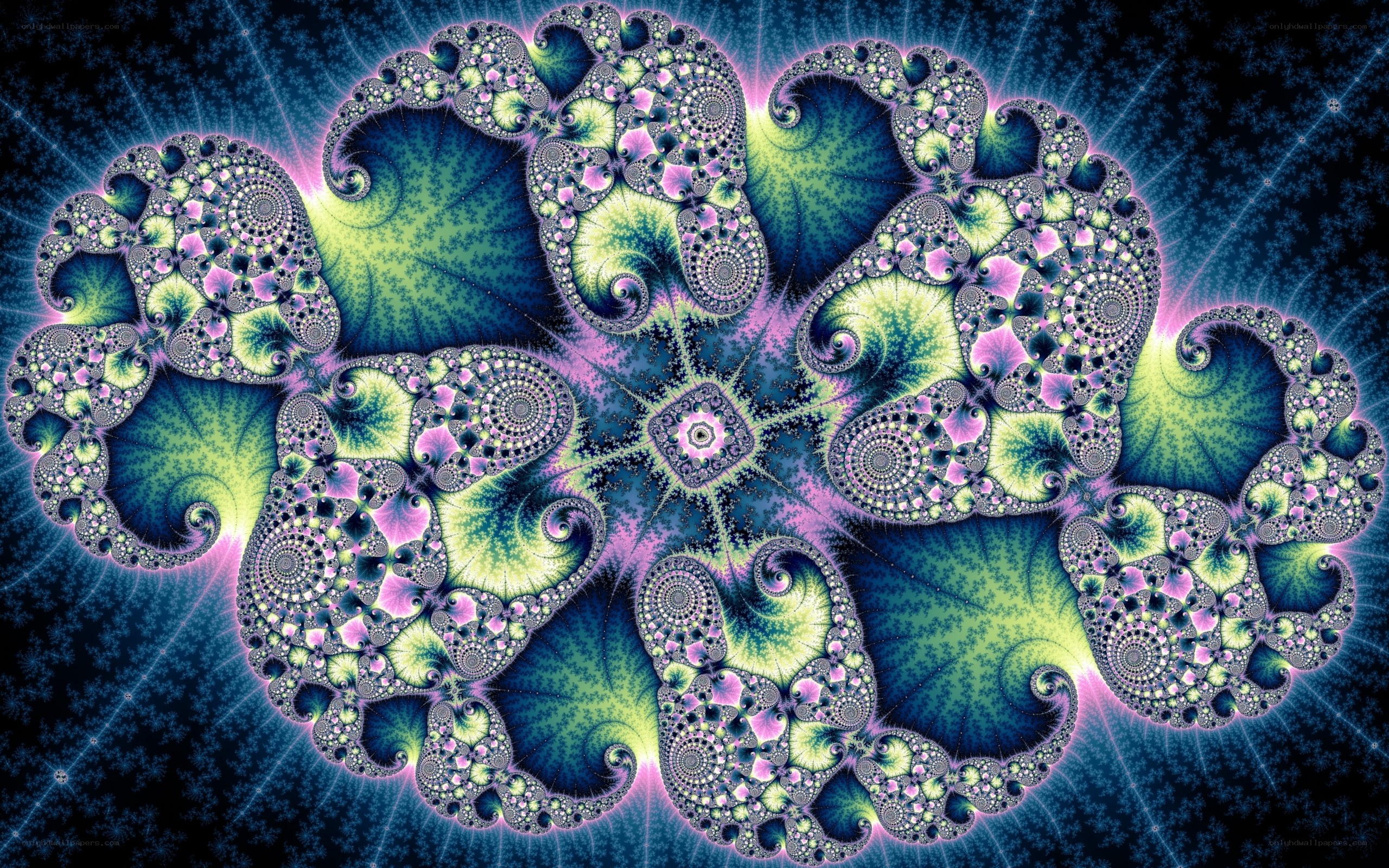 fractal flower pattern
