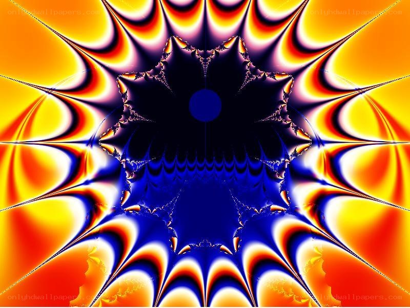 fractal flower pattern