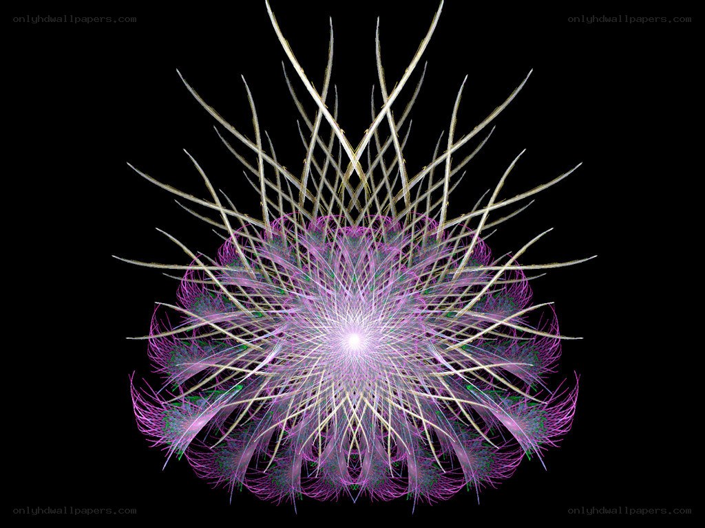 fractal flower pattern