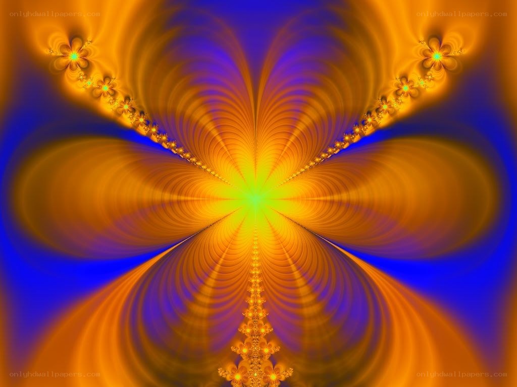 fractal flower pattern