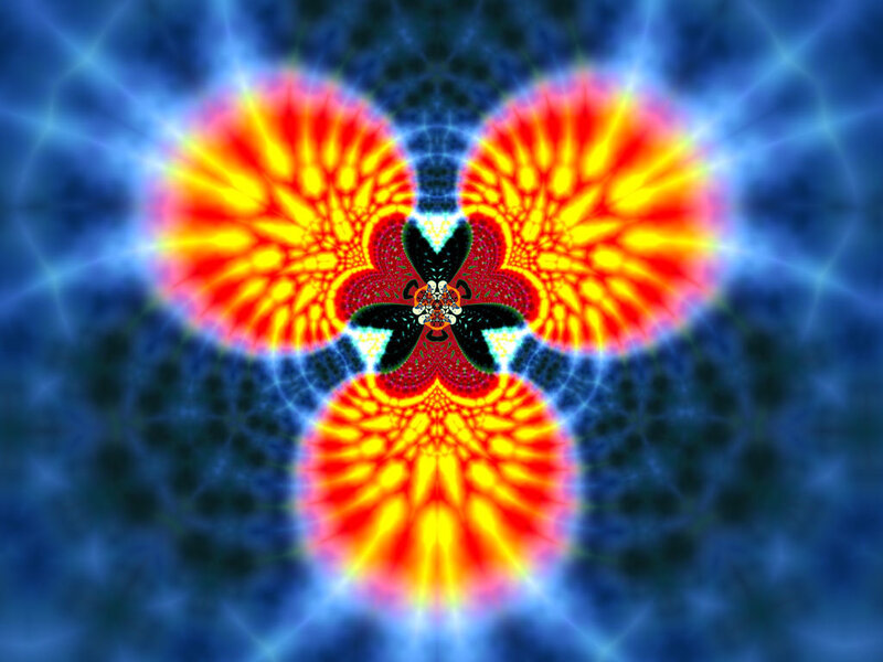 fractal flower pattern