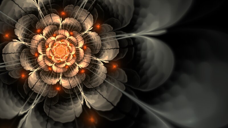 Fractal Flower Pattern — Black, Dramatic, Digital Art, Light Rays