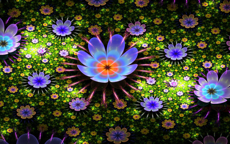Fractal Flower Pattern — Green, Hypnotic, Digital Art, Flowers, Green Background