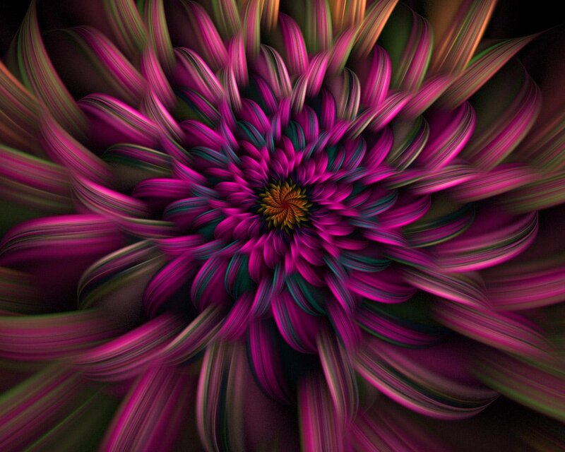 Fractal Flower Pattern — Magenta, Hypnotic