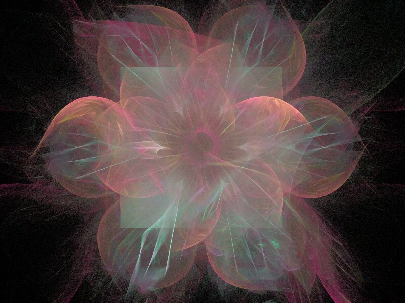 Fractal Flower Pattern — Pink, Ethereal, Abstract, Petals