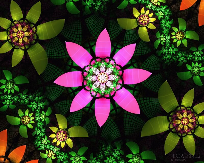 Fractal Flower Pattern — Pink, Hypnotic, Digital Art, Flowers, Leaves
