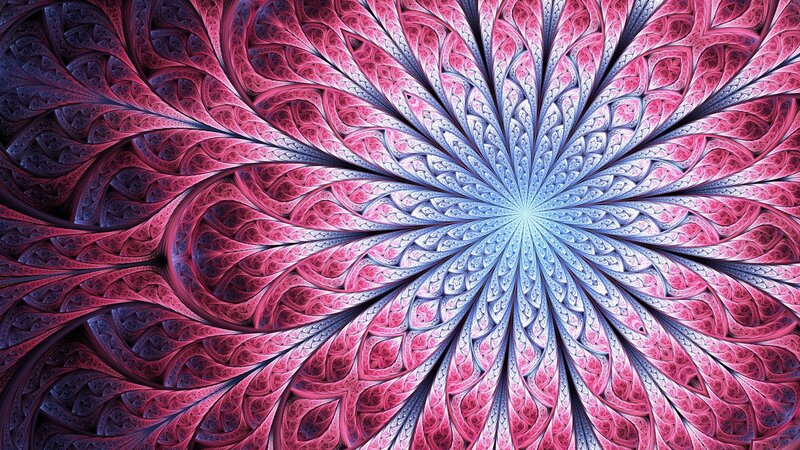 Fractal Flower Pattern — Pink, Hypnotic, Digital Art, Spiral