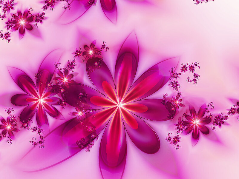 Fractal Flower Pattern — Pink, Vibrant, Digital Art, Flowers, Petals