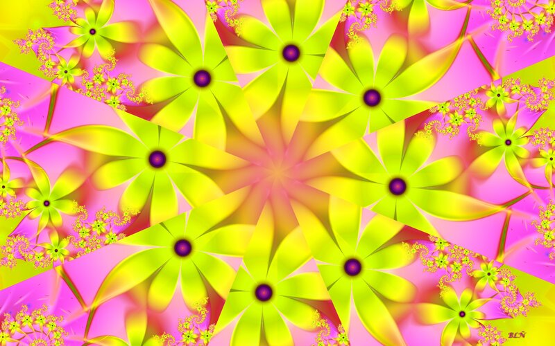 Fractal Flower Pattern — Pink, Vibrant, Digital Art, Flowers, Spirals
