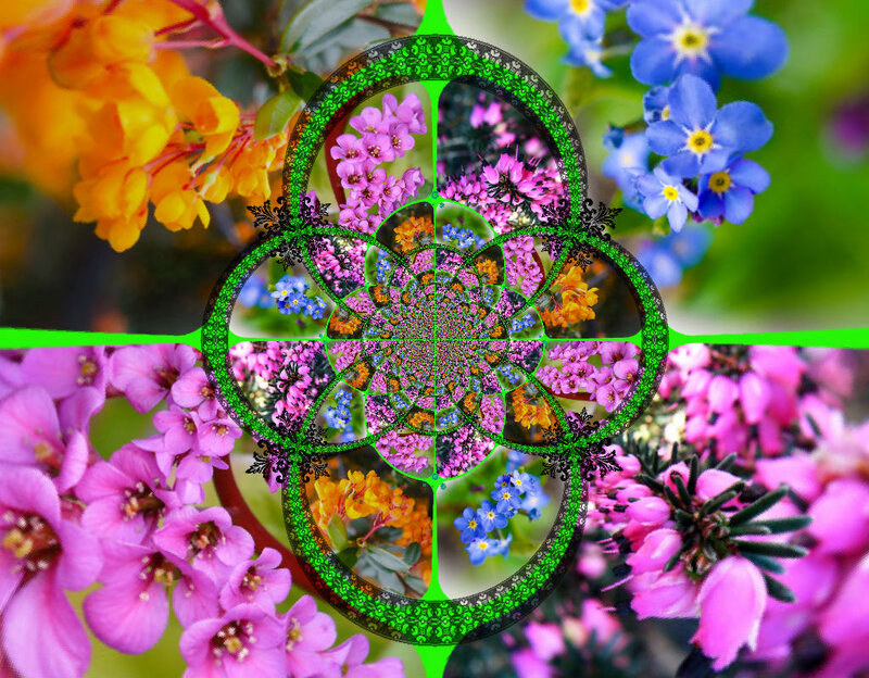Fractal Flower Pattern — Pink, Vibrant