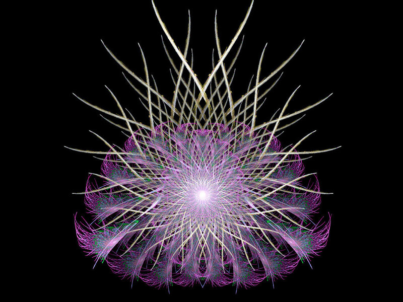 Fractal Flower Pattern — Purple, Abstract