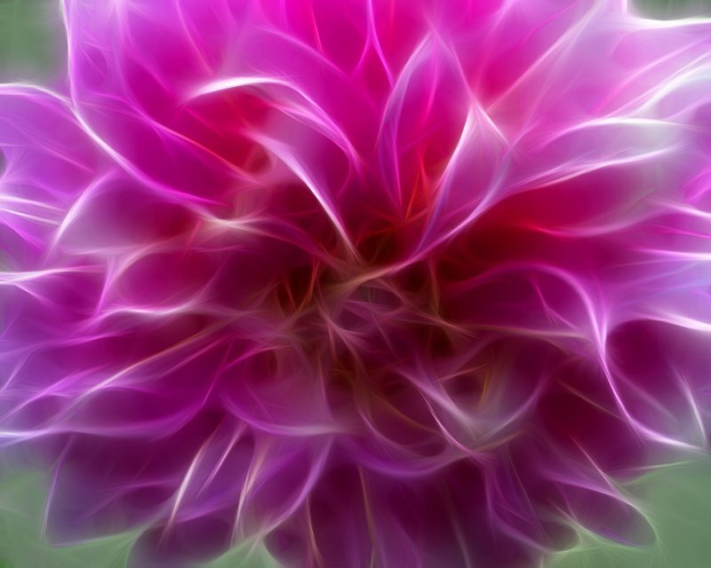 Fractal Flower Pattern — Purple, Ethereal, Digital Art