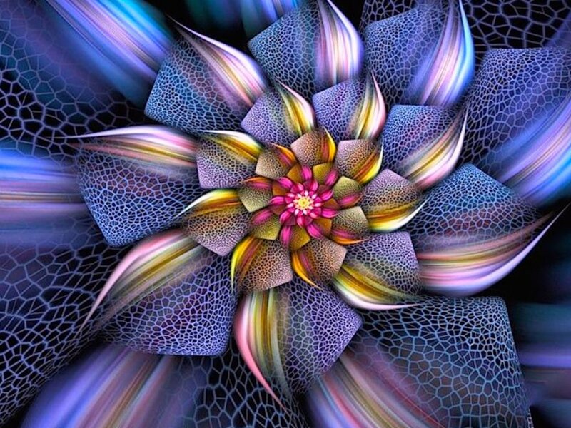 Fractal Flower Pattern — Purple, Hypnotic, Digital Art, Colorful Petals
