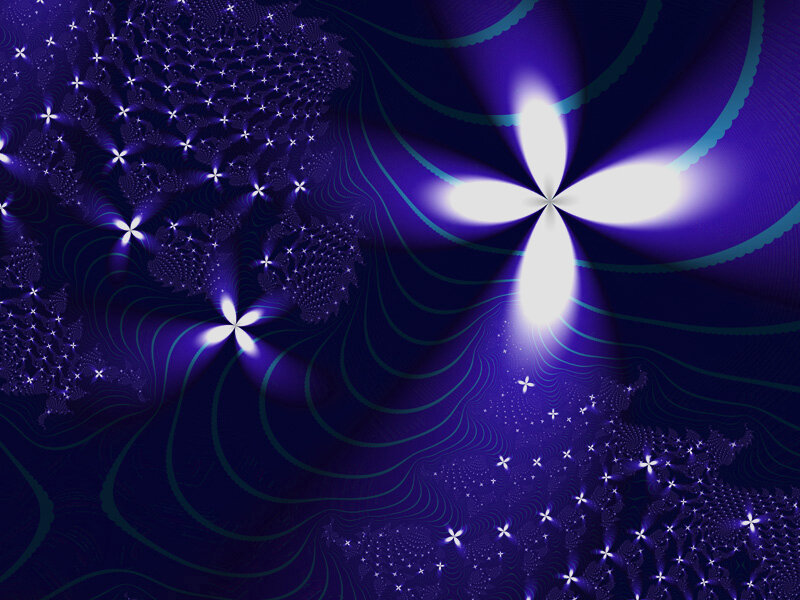 Fractal Flower Pattern — Purple, Hypnotic, Digital Art, Flowers, Stars