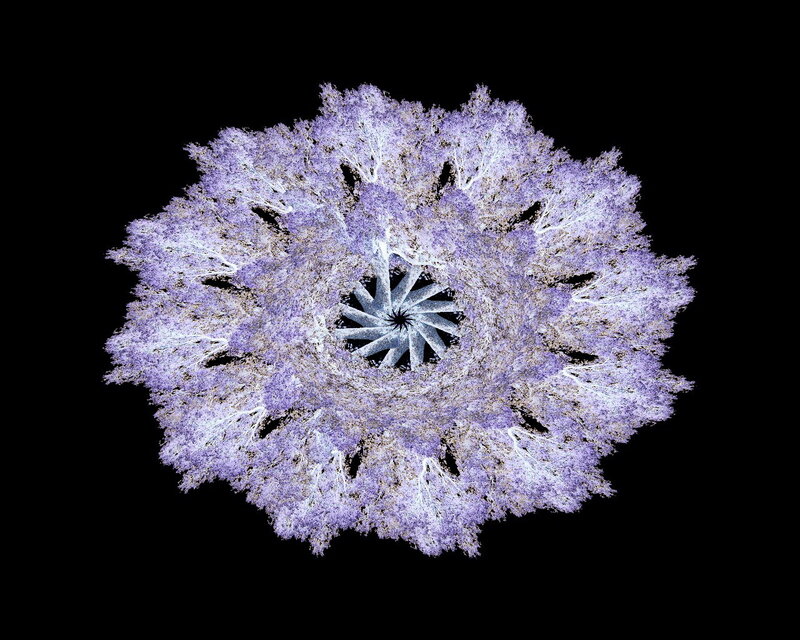 Fractal Flower Pattern — Purple, Symmetrical