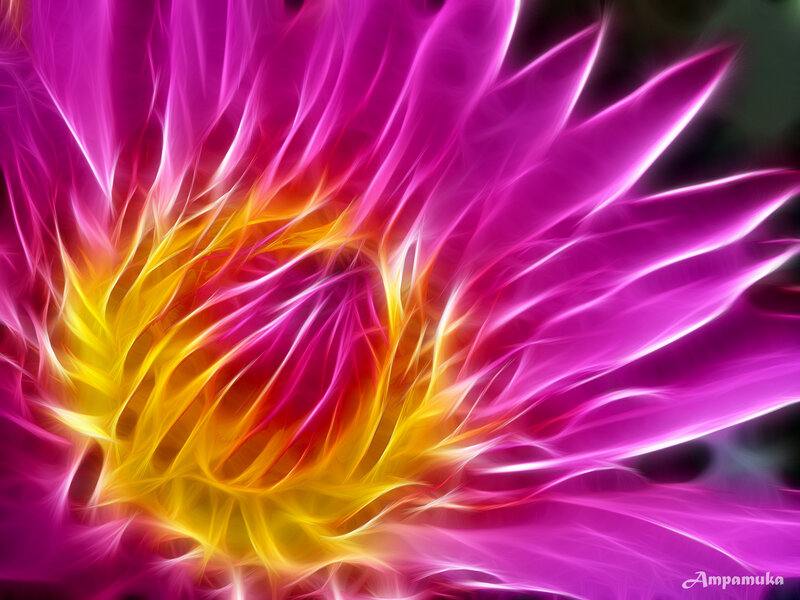 Fractal Flower Pattern — Purple, Vibrant
