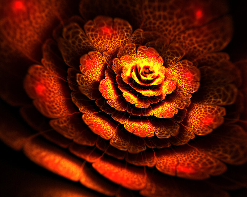 Fractal Flower Pattern — Red, Dramatic, Digital Art, Petals, Spiral