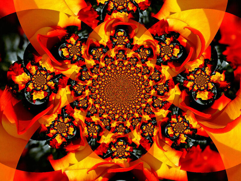 Fractal Flower Pattern — Red, Vibrant, Digital Art, Flowers