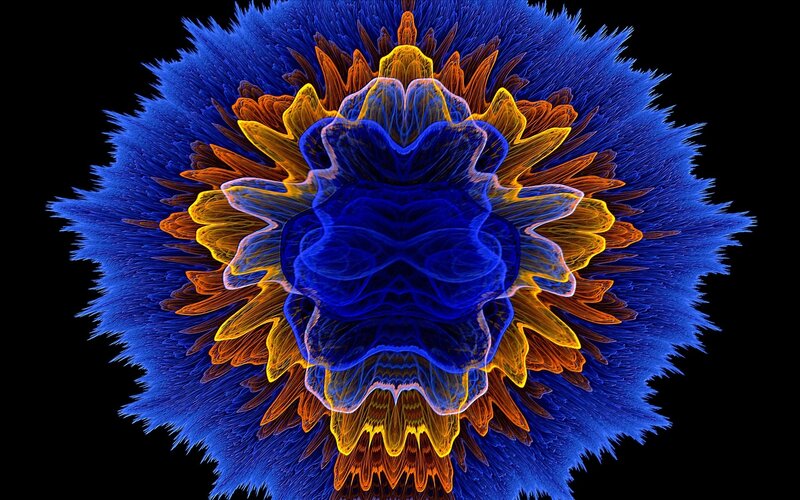 Fractal flower pattern
