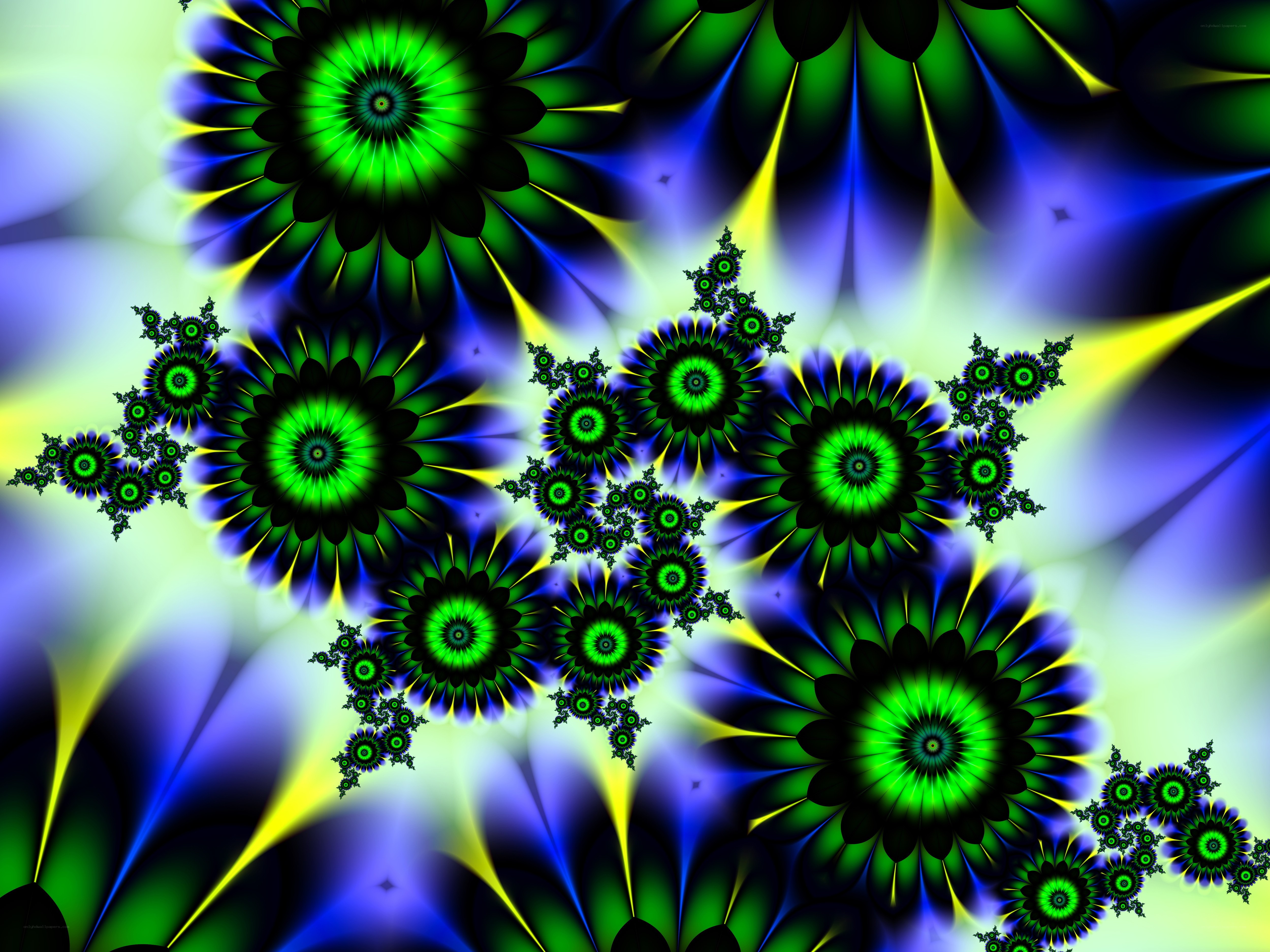 fractal flower patterns