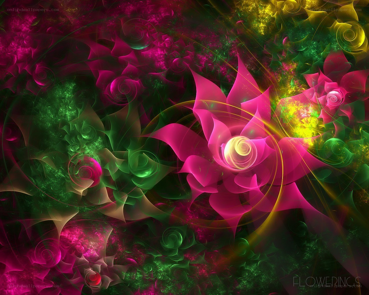 Fractal Flower Patterns