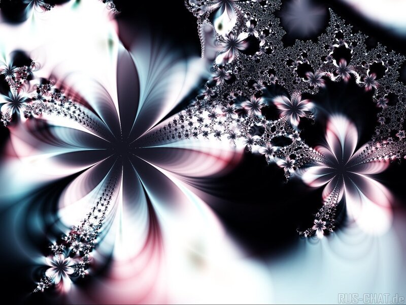 Fractal Flower Patterns — Black, Abstract, Digital Art
