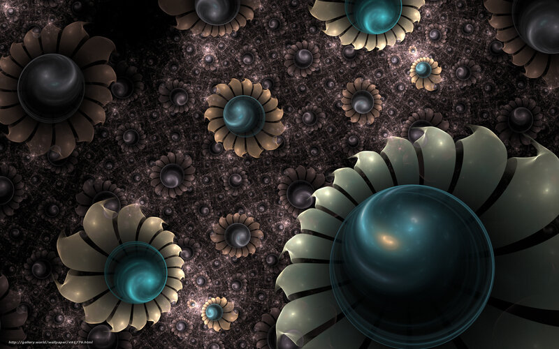 Fractal Flower Patterns — Black, Abstract